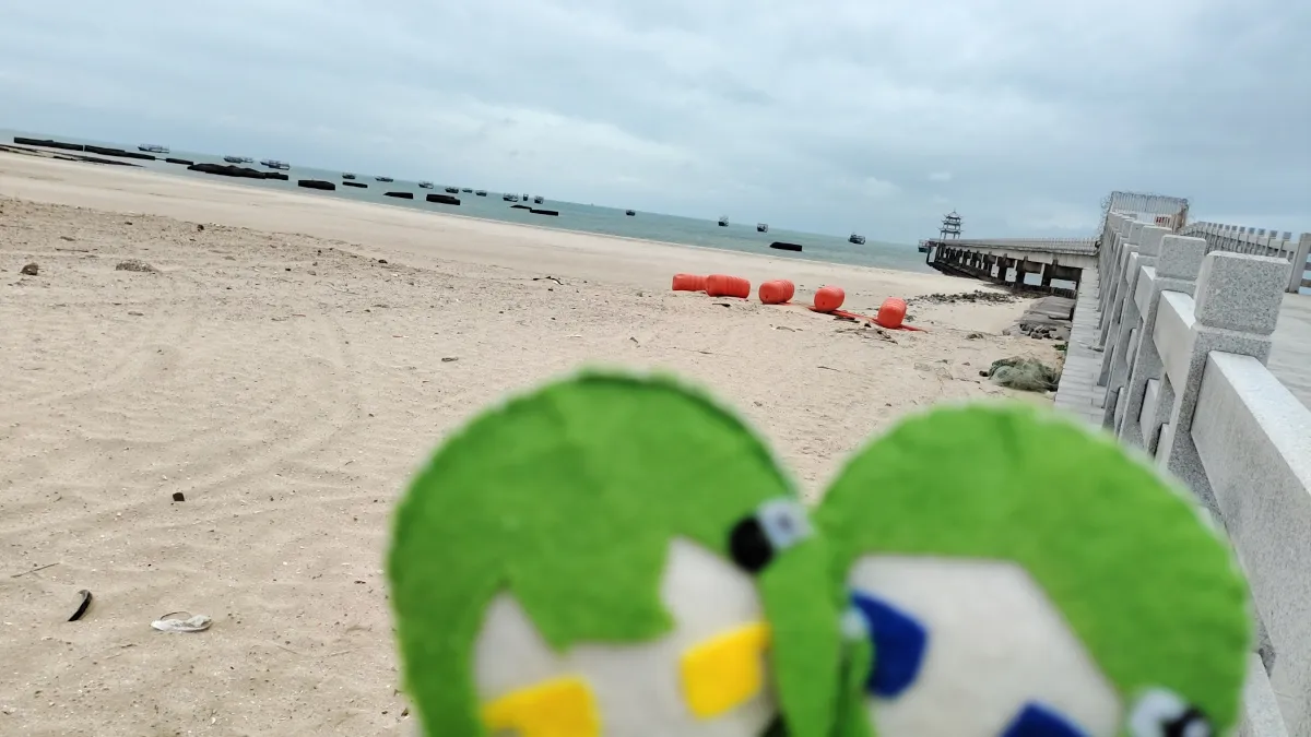 在海边思索良久